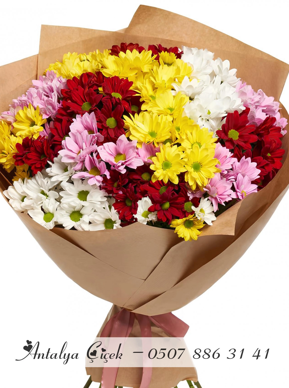 15 Adet Renkli Kasımpatı