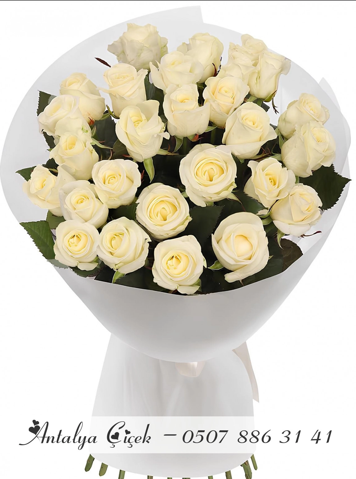 25 Adet Beyaz Gül Buketi