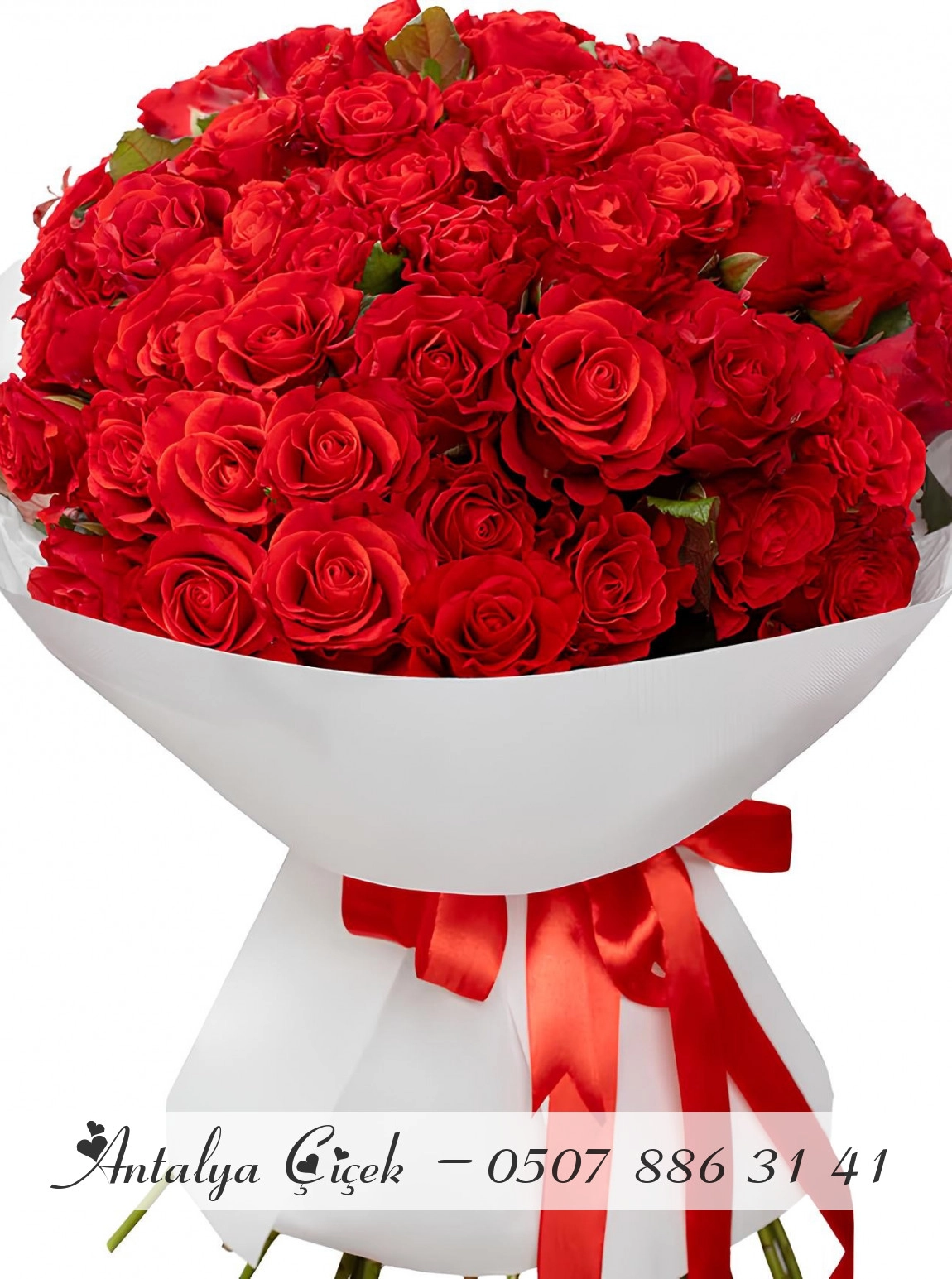 51 Adet Büyük Boy Kırmızı Gül Buketi