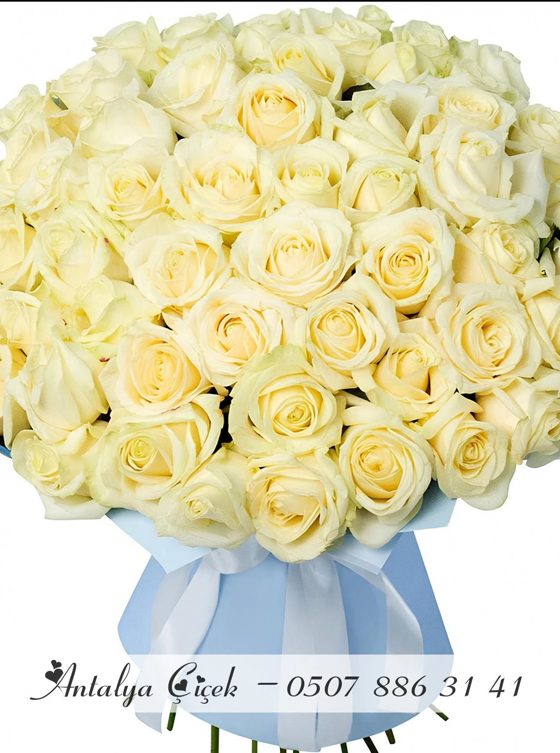 51 Adet Krem Gül Buketi