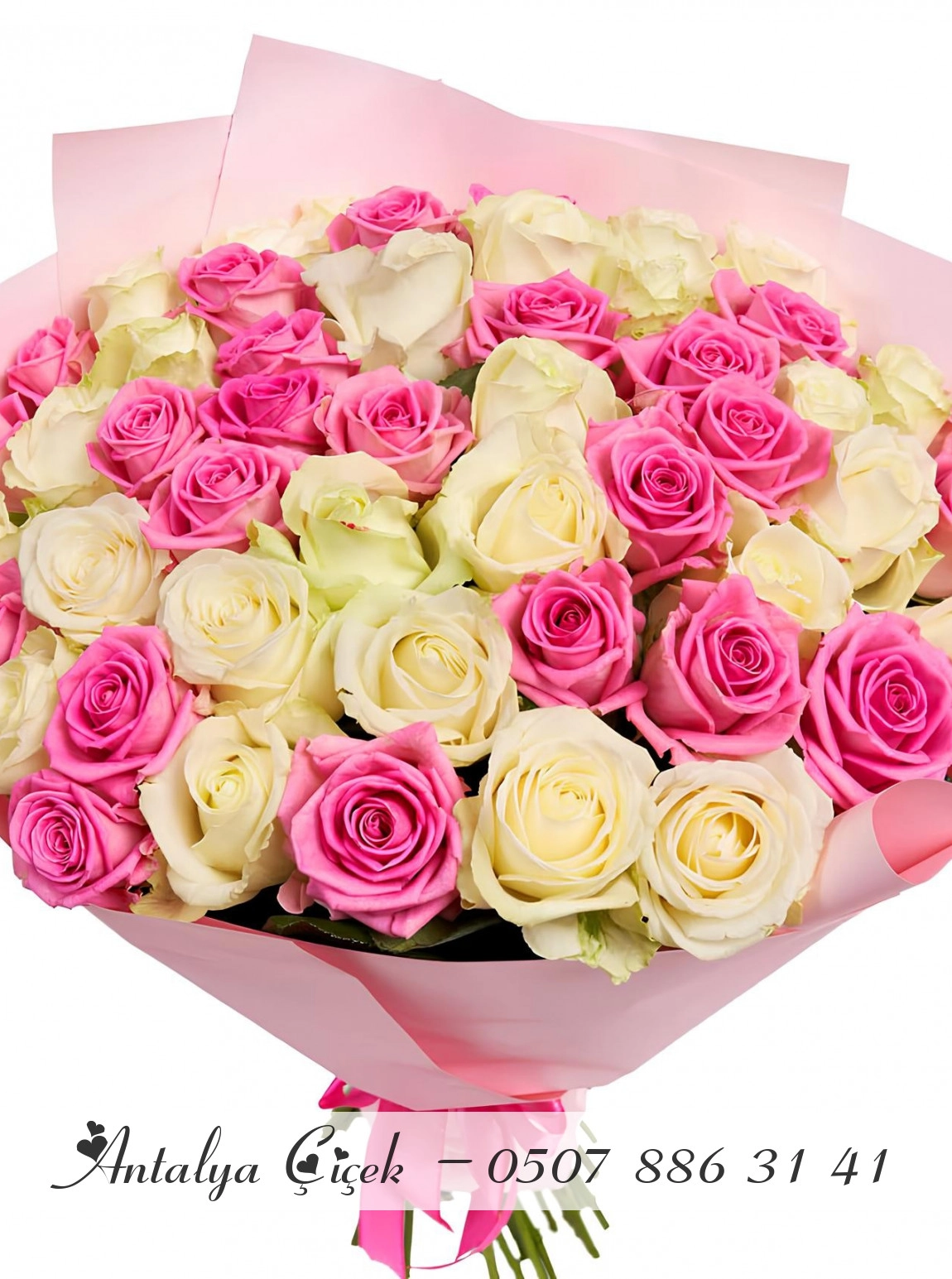 51 Adet Pembe ve Krem Gül Buketi