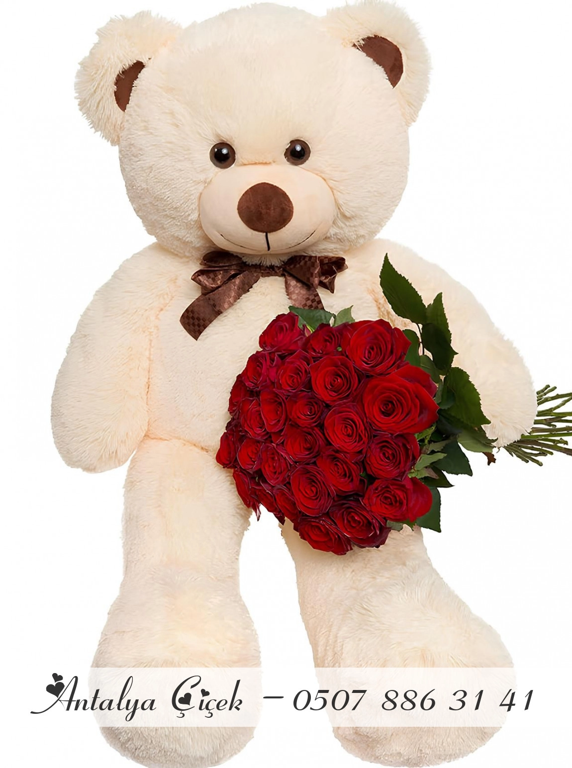 Ayıcıklı ve 25 Adet Gül