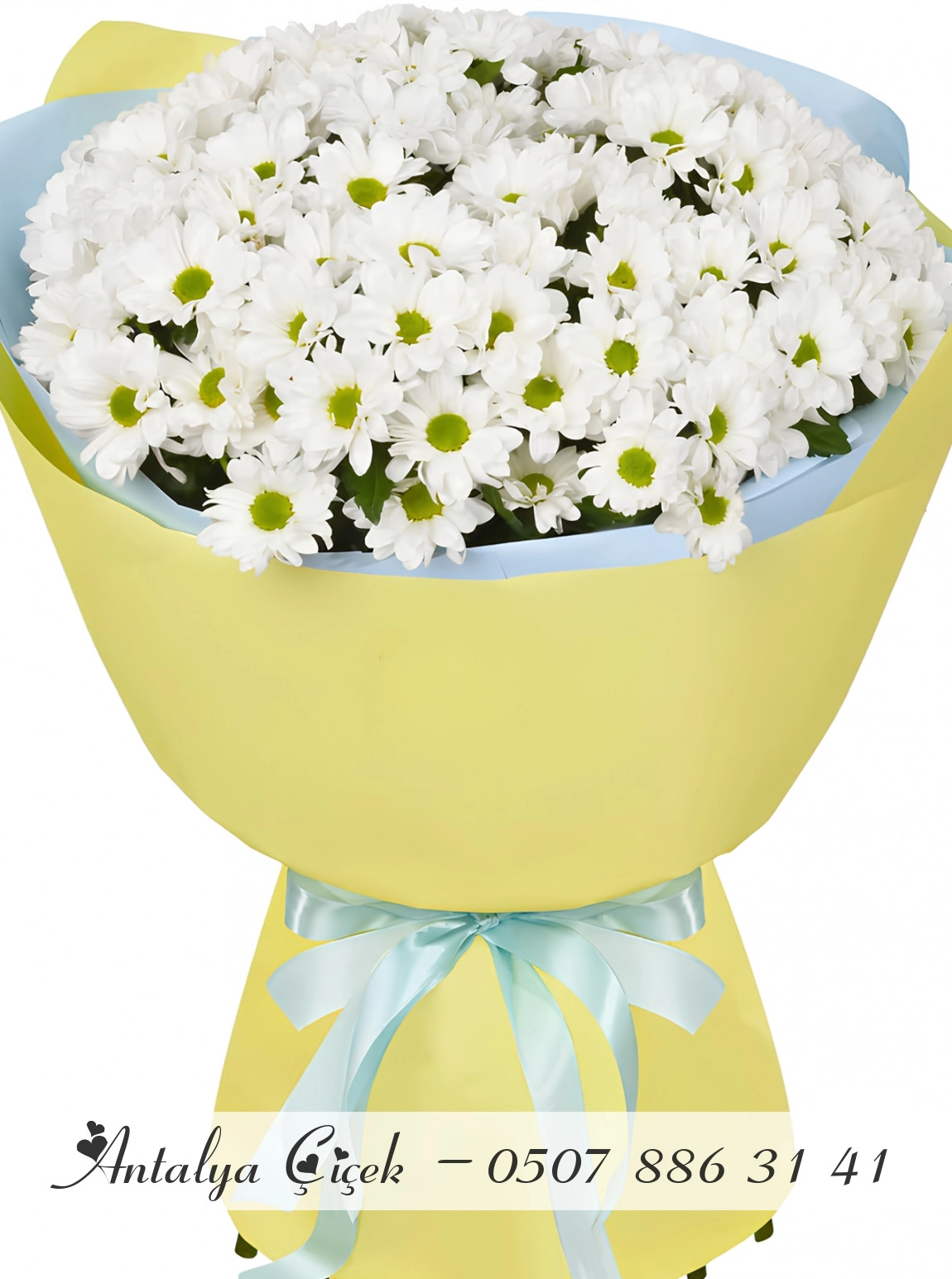 Büyük Sarı Kağıtta Papatya Buketi