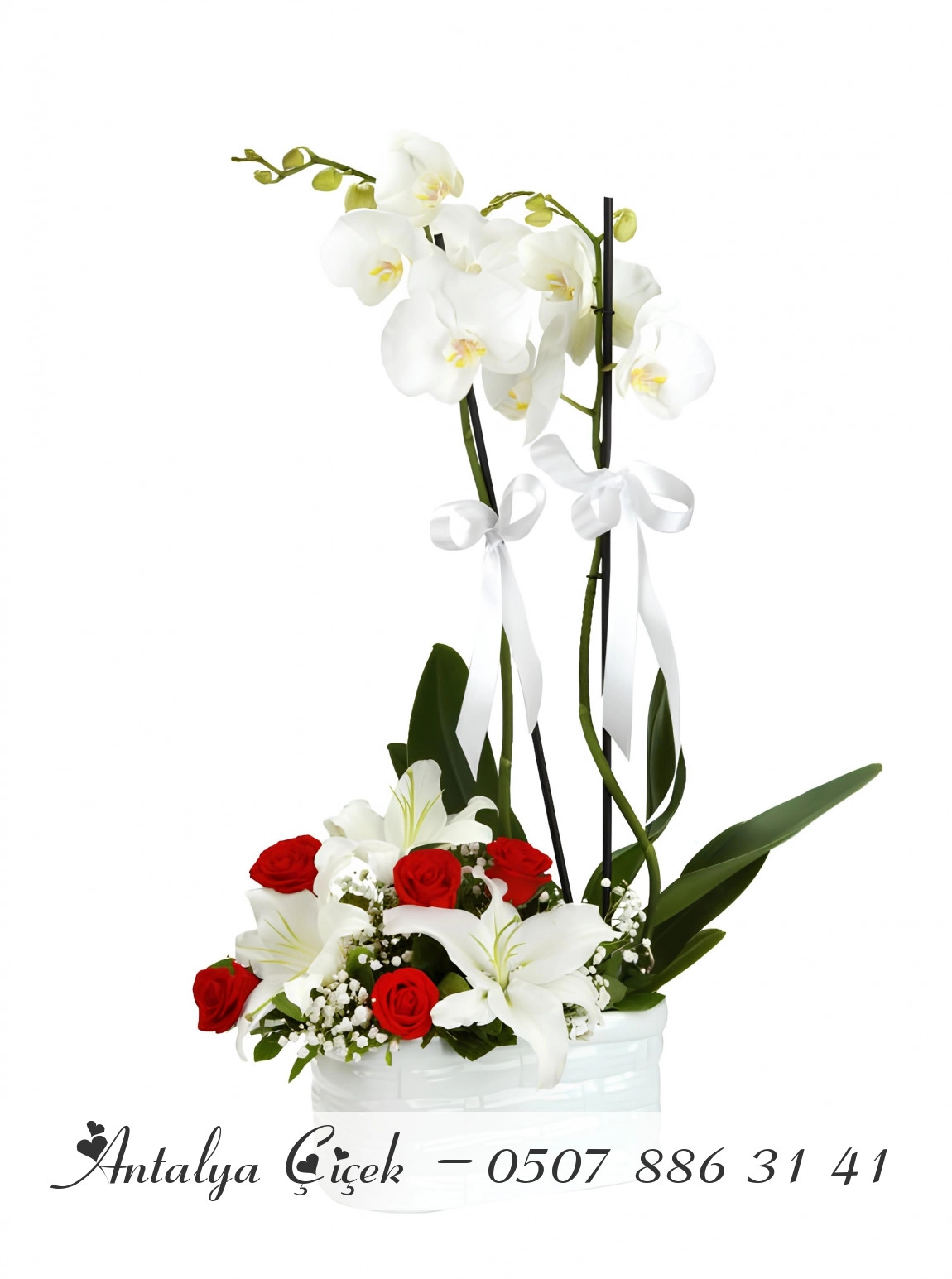 Çift Dallı Orkide Ve Seramikte Güller