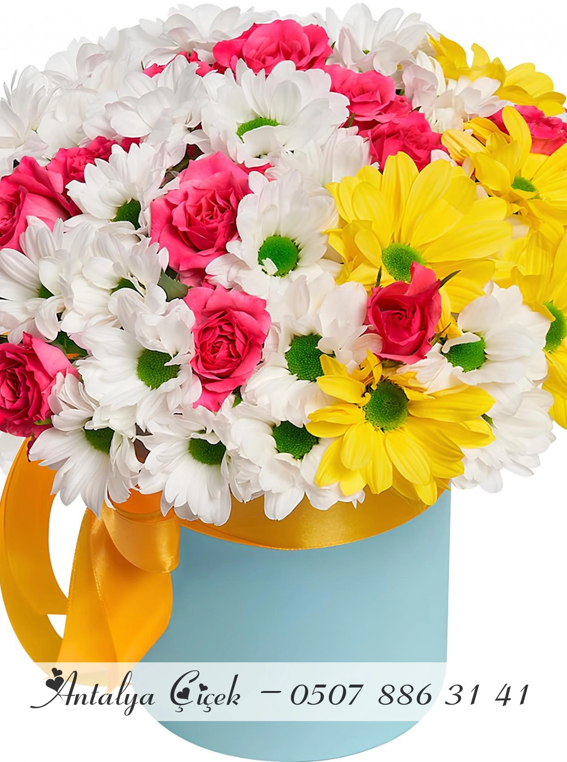 Kutuda 15 Pembe Gül ve Papatyalar