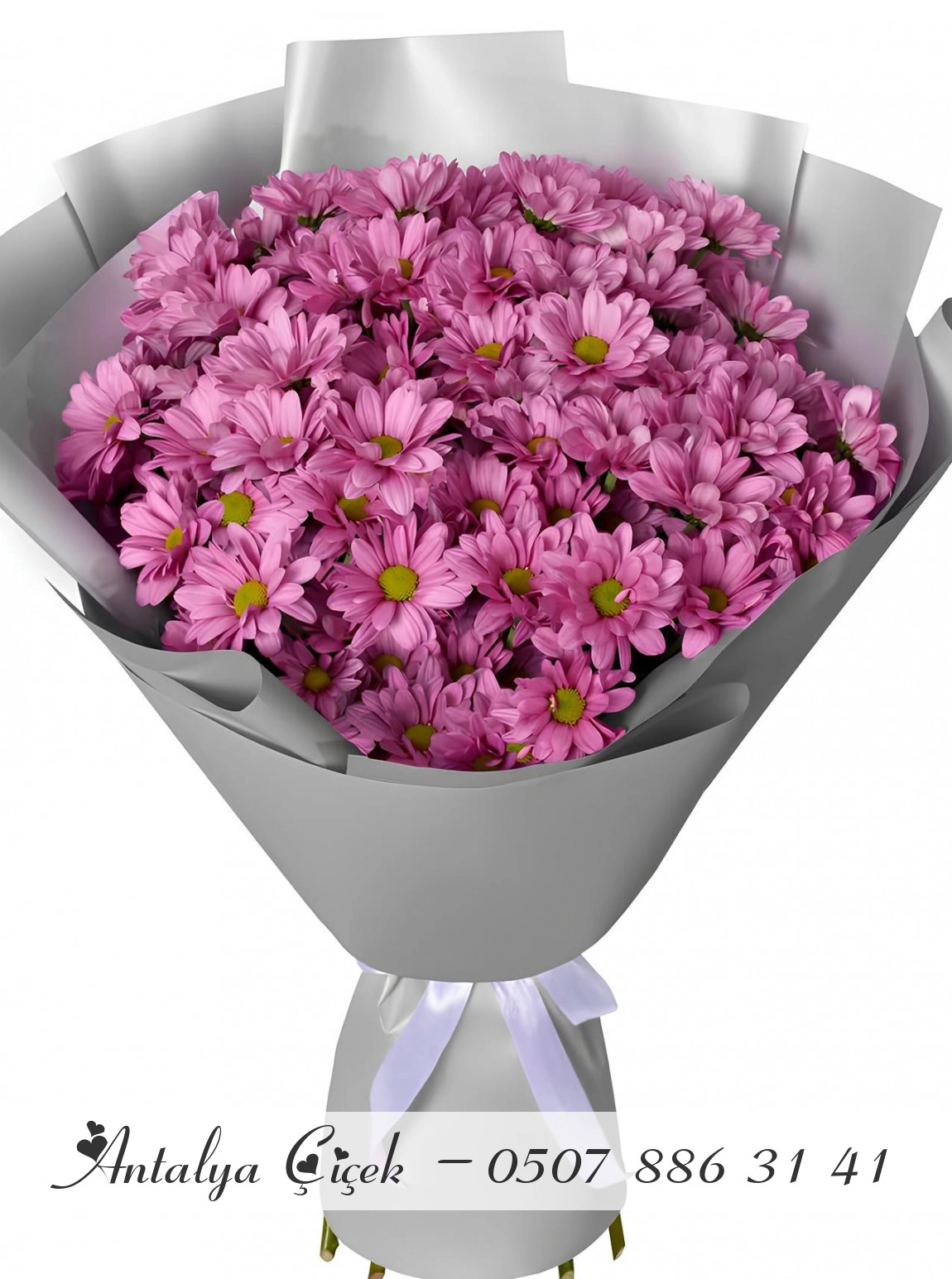 Mor Kasımpatı Buketi