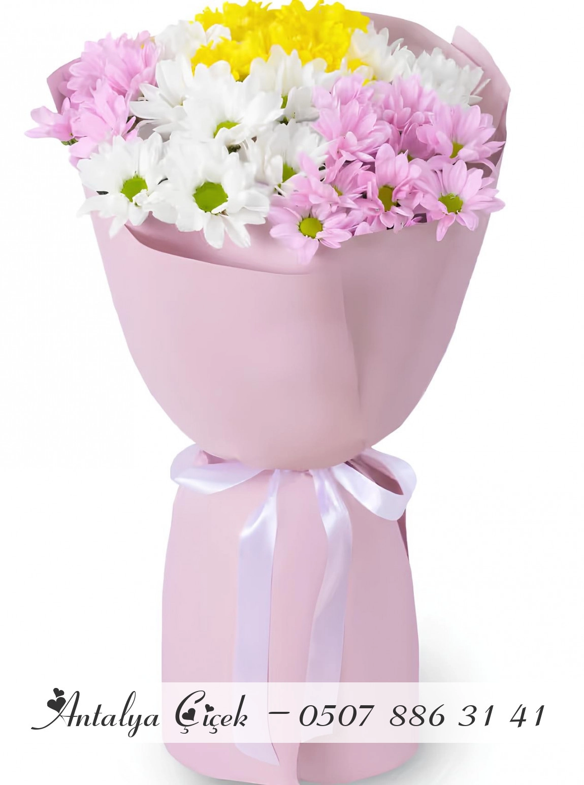 Mor ve Beyaz Papatya Buketi