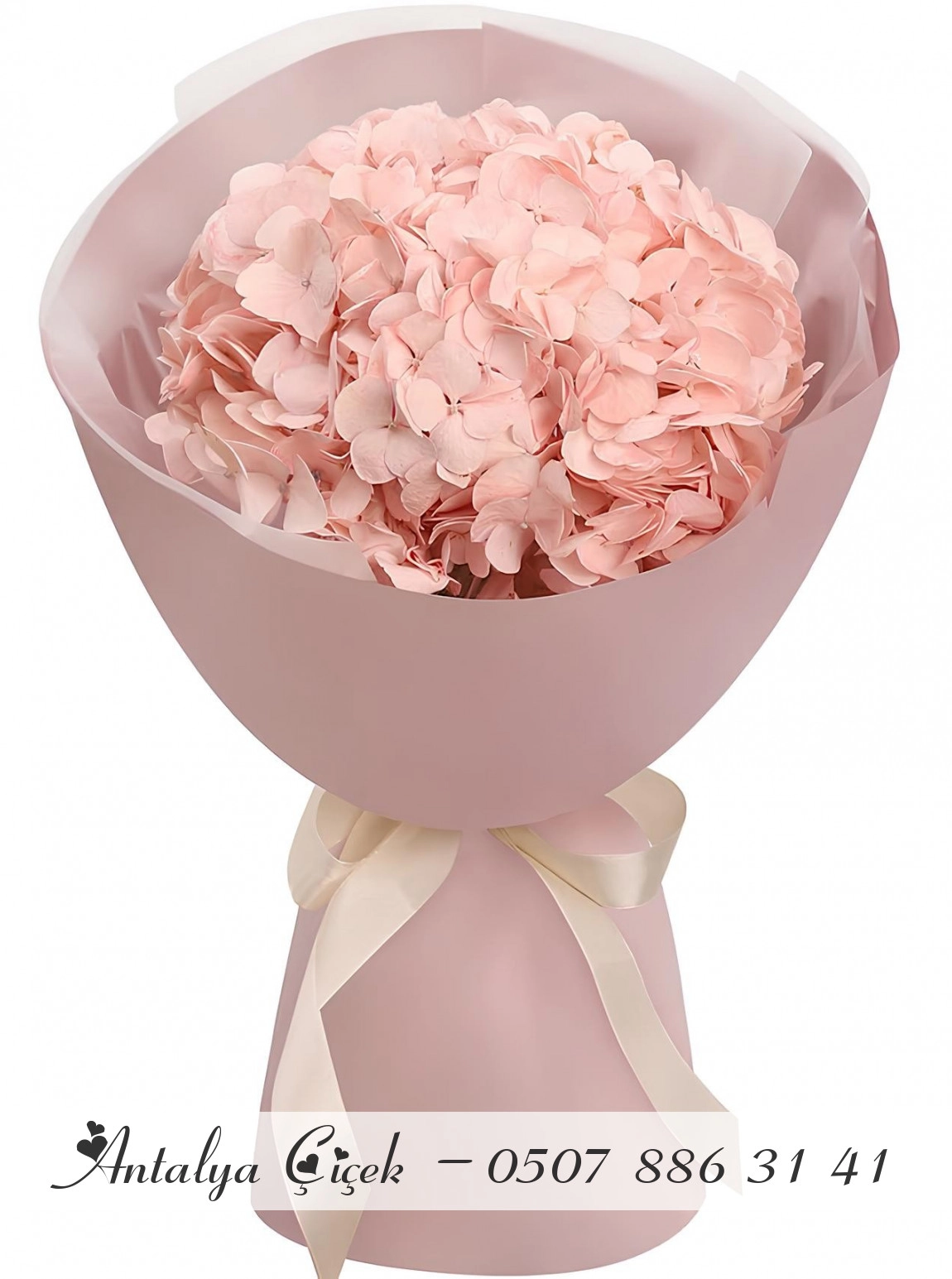 Pembe Ortanca Buketi