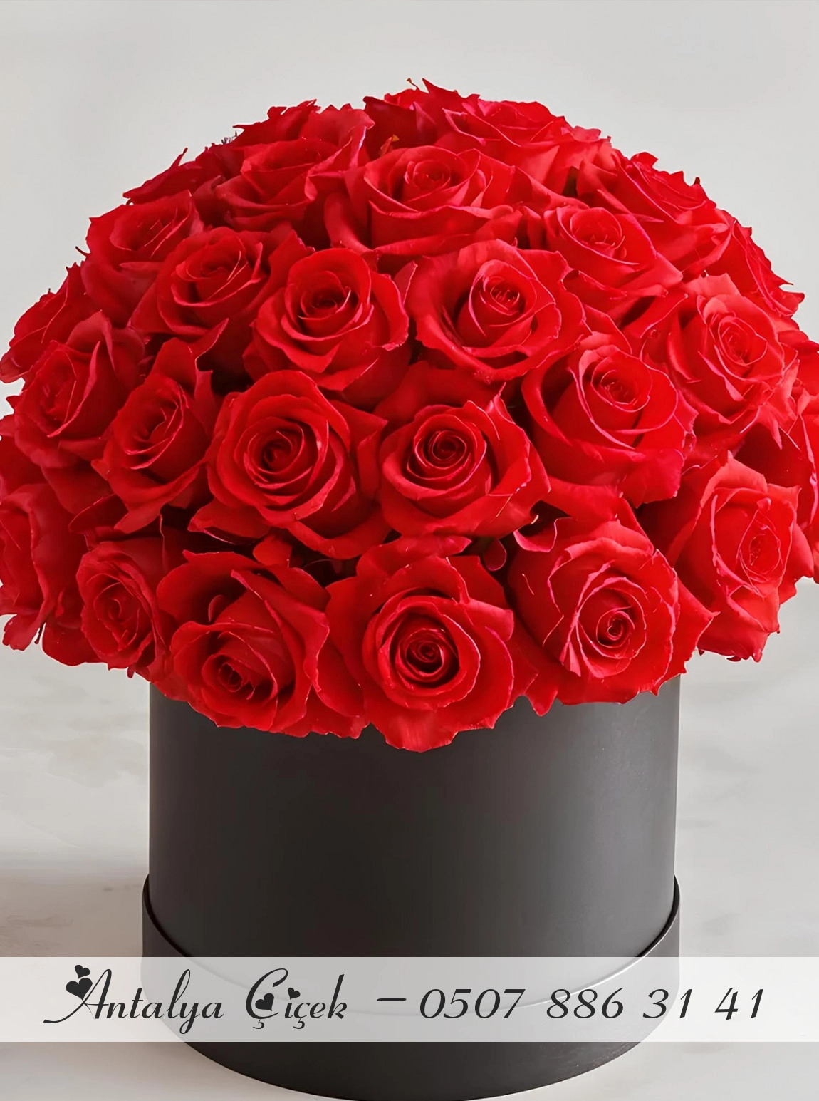 Premium Kutuda 55 Tane Gül