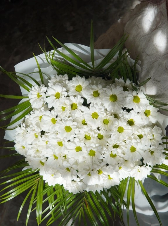Papatya Buketi