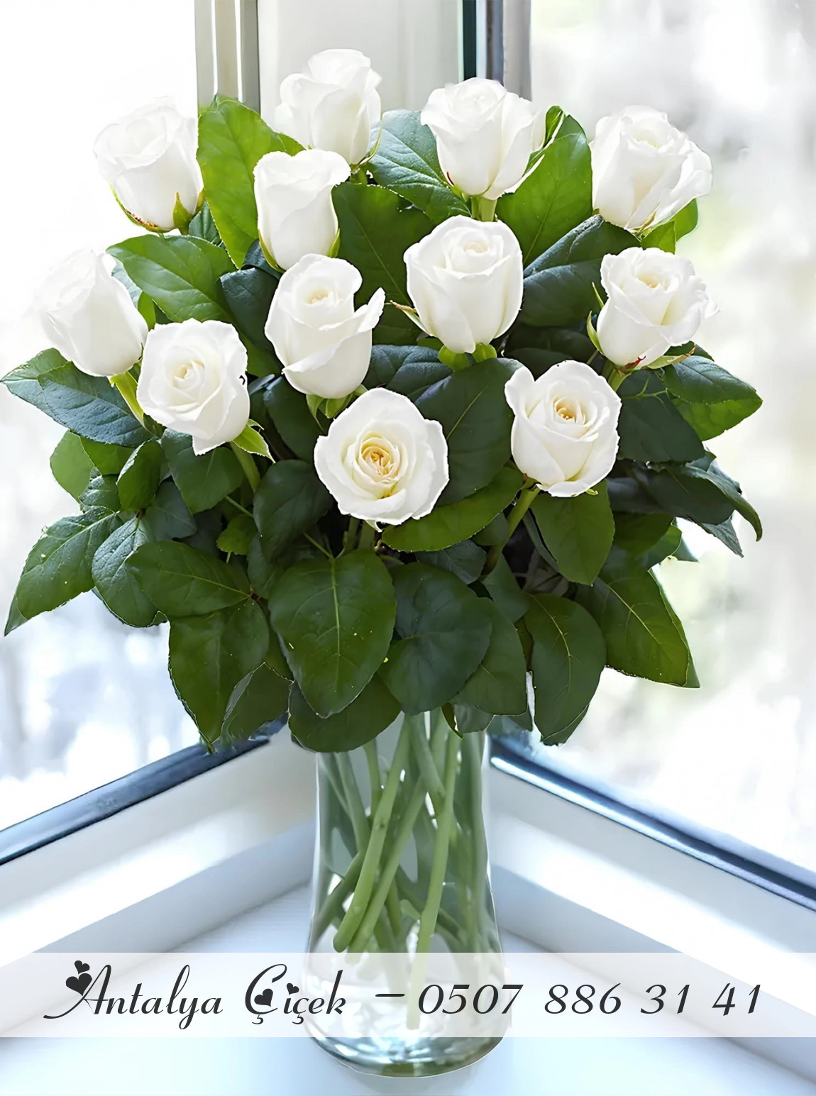 Vazoda 12 Beyaz Gül Buketi