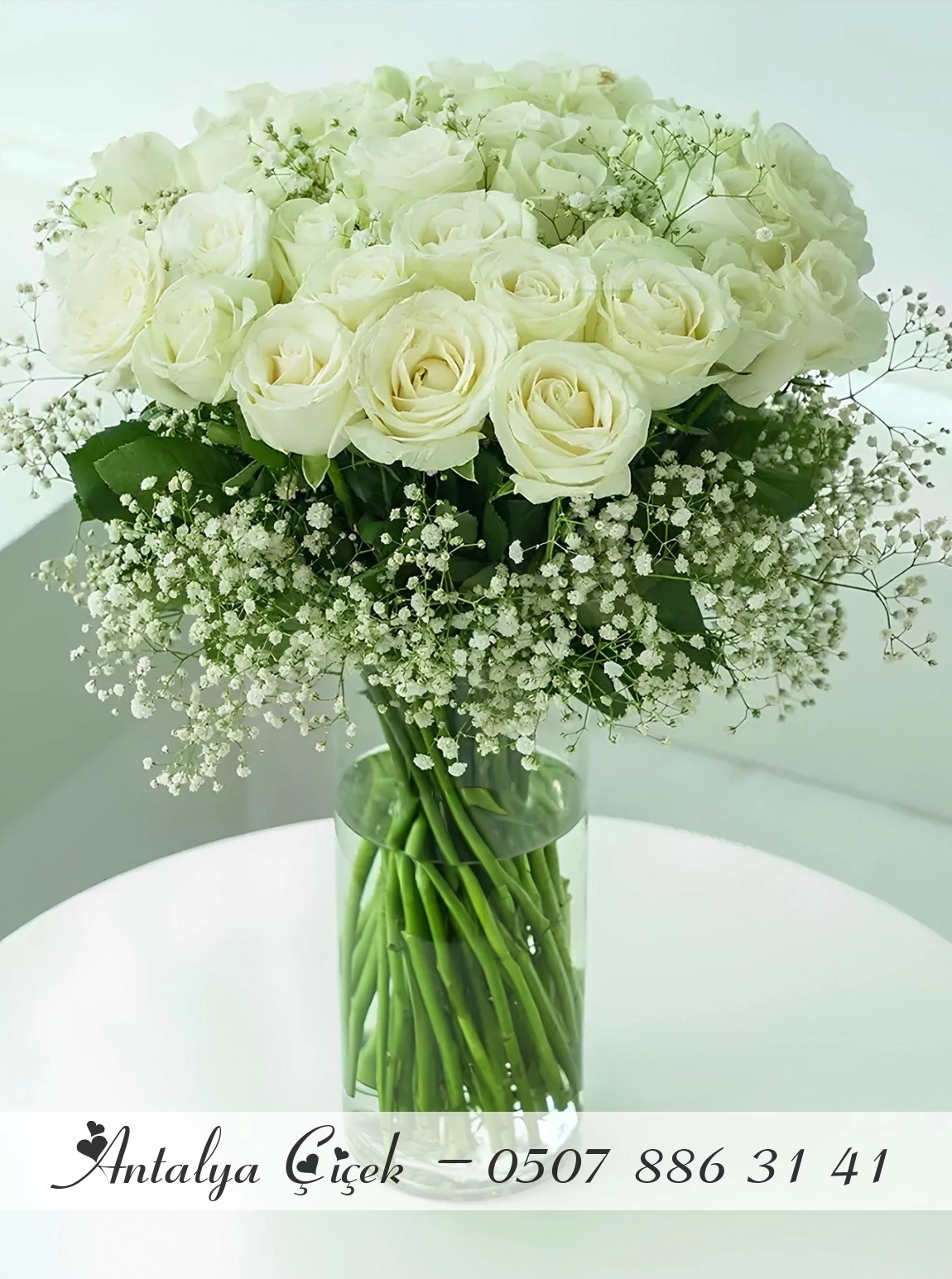 Vazoda 25 Beyaz Gül