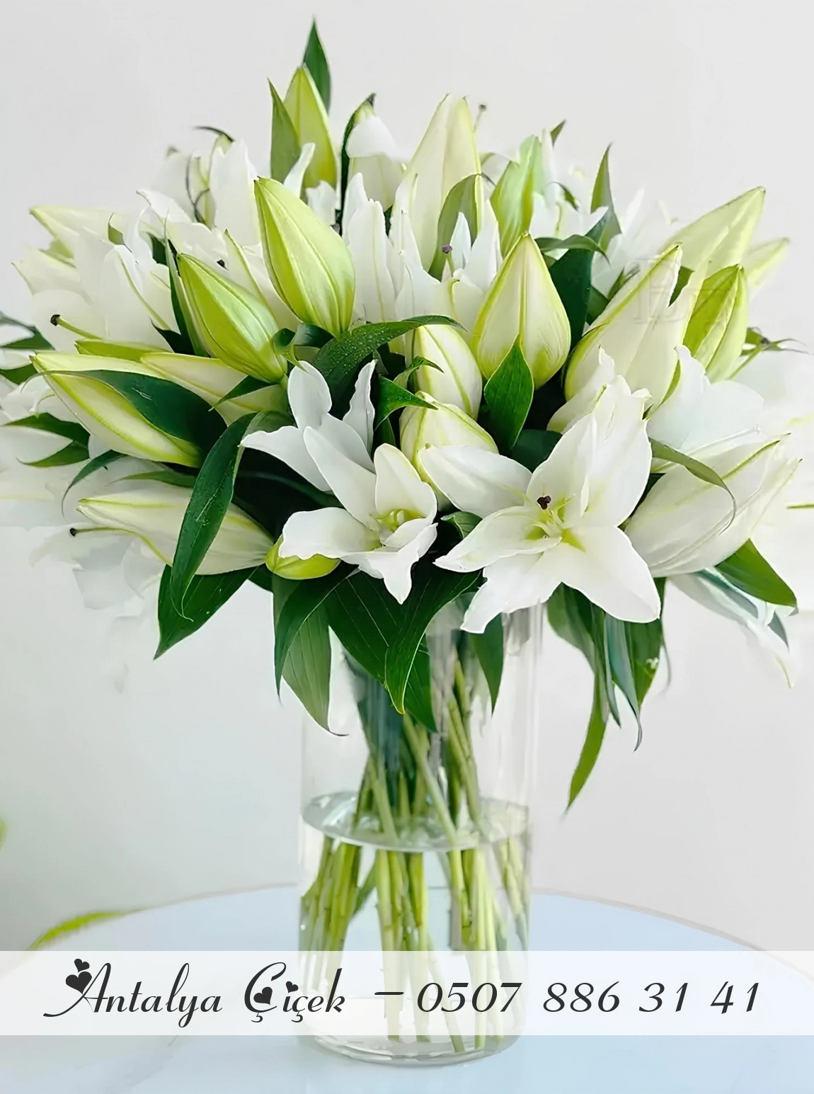 Vazoda Beyaz Lilyumlar