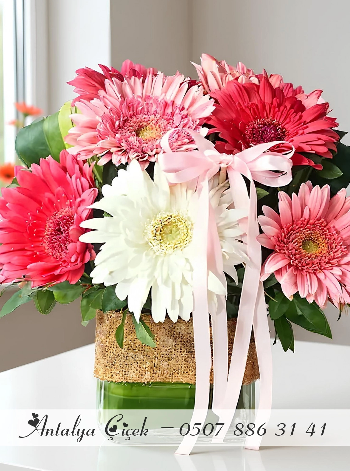 Vazoda Beyaz ve Pembe Gerbera