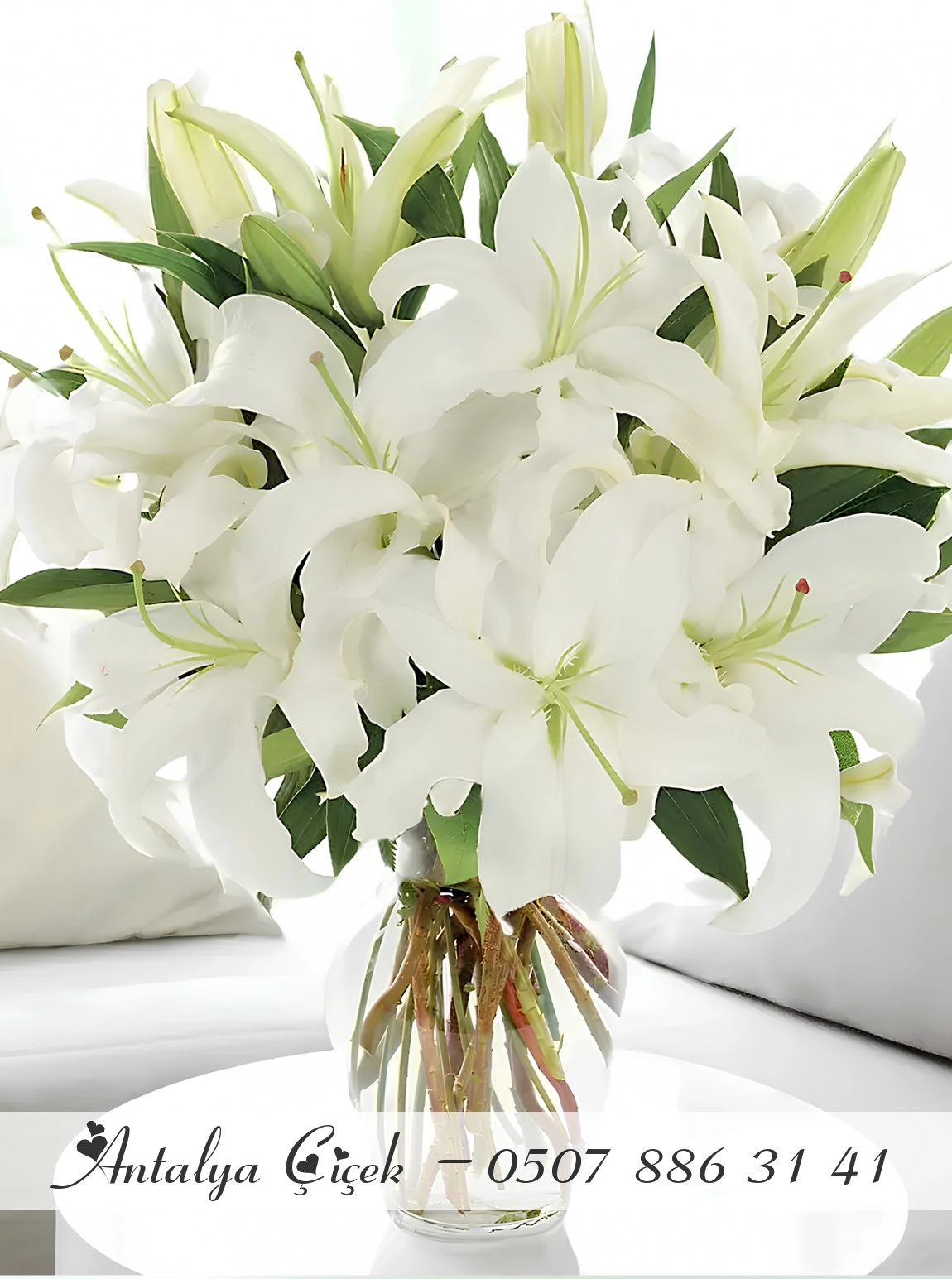 Vazoda Büyük Boy Lilyumlar